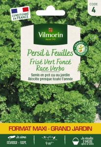 Persil Frisé Vert Foncé race Verbo - Grand Modèle